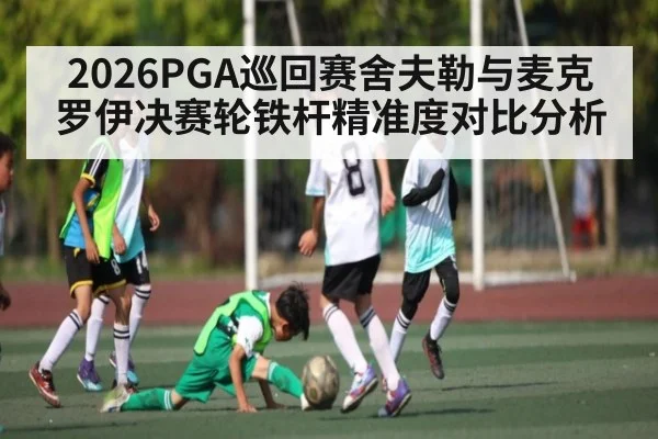 2026PGA巡回赛舍夫勒与麦克罗伊决赛轮铁杆精准度对比分析